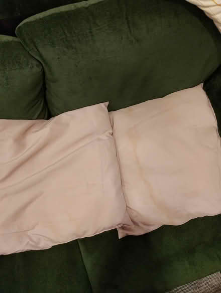 Photo of free 2 pink cushions (Hove BN3) #1