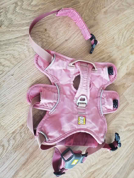 Photo of free Ruffwear 3 strap dog harness xs (Great Asby CA16) #2