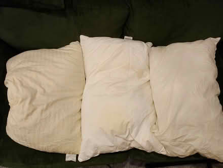 Photo of free Pillows (Hove BN3) #1