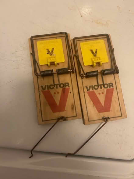 Photo of free 2 Rat Traps (Atwater Village) #1