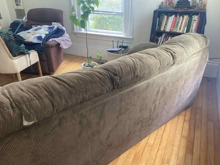 Photo of free Brown Couch (Amherst Center) #2