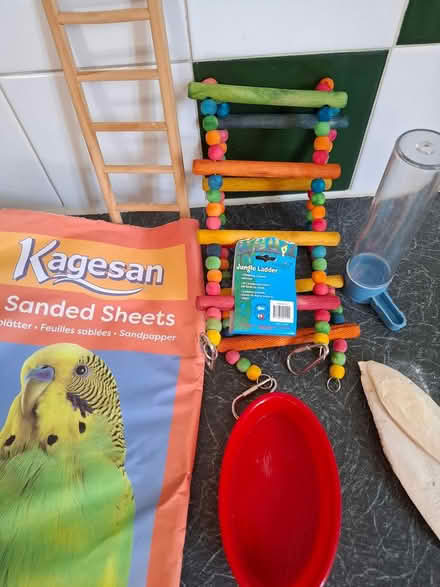 Photo of free Budgie goods (Charlton SE7) #1