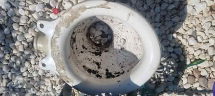 Photo of free Old ceramic toilet bowl (Hailsham BN27) #2