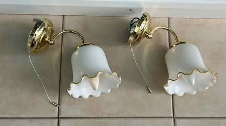 Photo of free Pair of Ornate Wall Lights (Buckskin RG22) #1