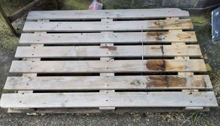 Photo of free Pallet (Howdon NE28) #1