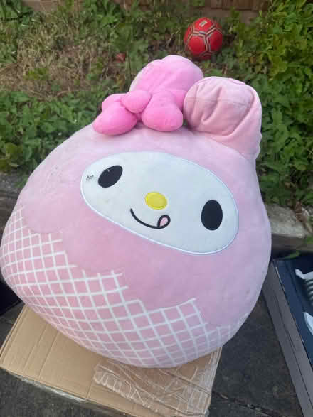 Photo of free Big size plushie (Norbury CR7) #1