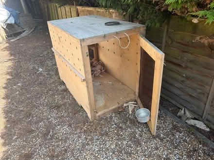 Photo of free dog crate for travel (Sheet GU31) #1