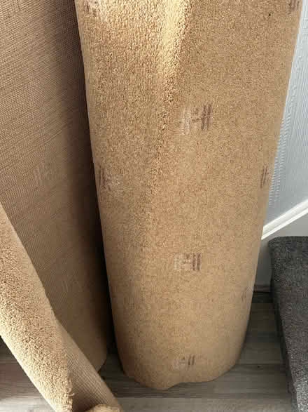 Photo of free Large offcut of carpet (Currie EH14) #1