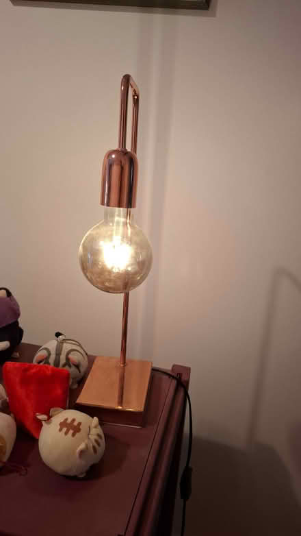 Photo of free Copper tone table light (Caversham RG4) #2