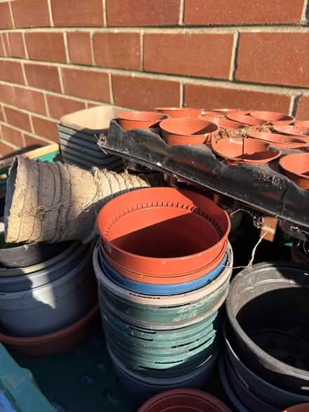 Photo of free Seed trays, pots, jars (NE28 Wallsend) #3
