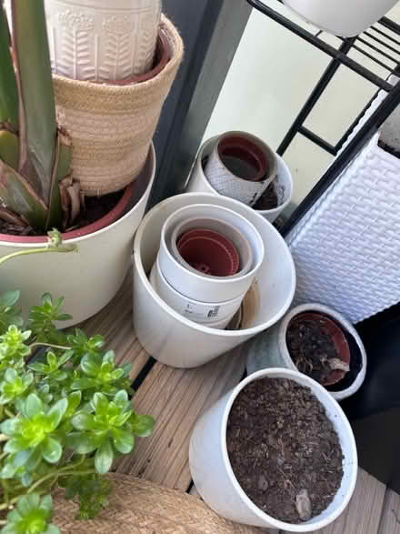 Photo of free Pots and 1/3 sack of compost soil (Camberwell SE5) #2