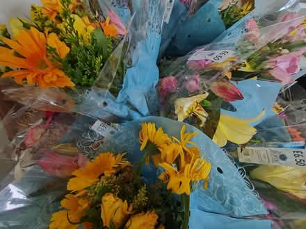 Photo of free Flowers (Loughton IG10) #1