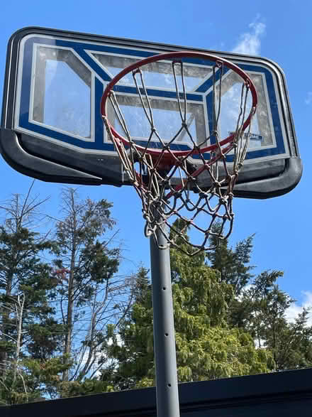 Photo of free Basketball stand and hoop (Kingsway CB4) #2
