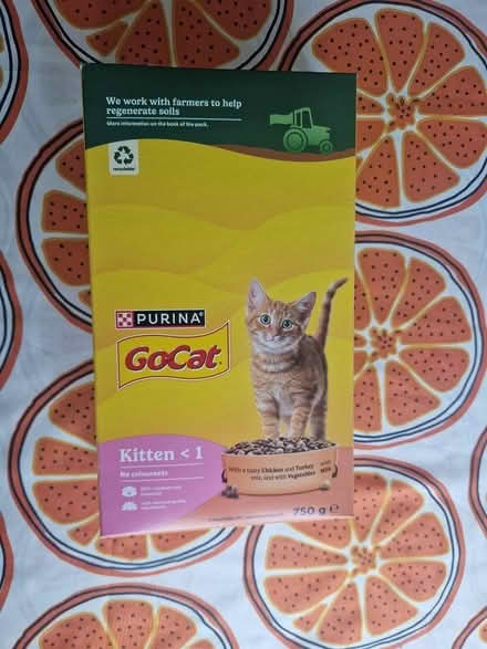 Photo of free Open Kitten food (Harlow South CM18) #1