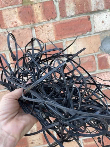 Photo of free Cable Ties (River CT17) #1
