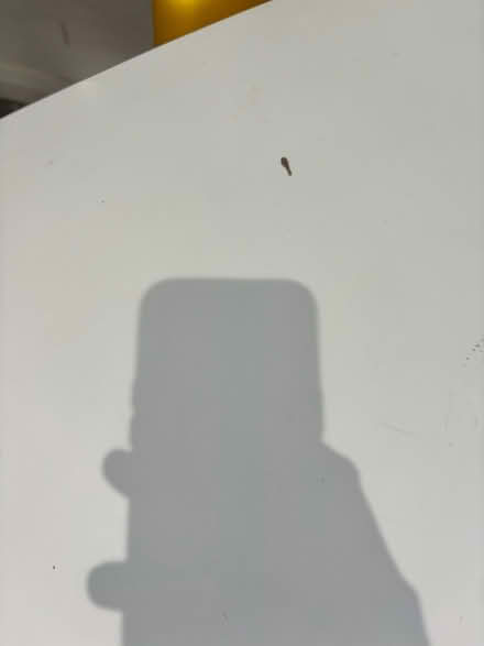 Photo of free Dining table (Denmark Hill area SE5) #4