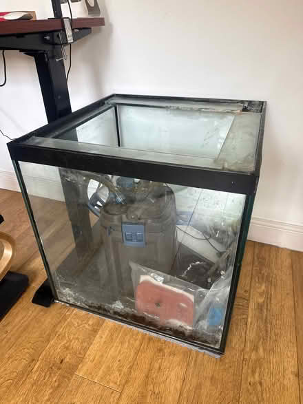 Photo of free Aquarium (Putney SW15) #1