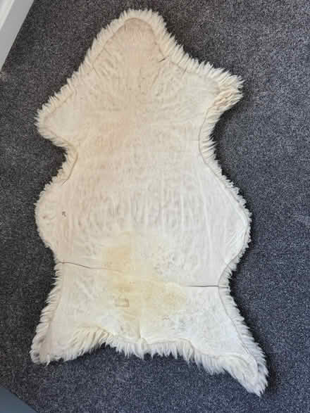 Photo of free Sheepskin rug (Oakwood Derby) #2
