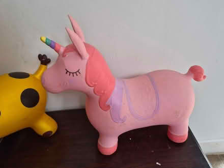 Photo of free Bouncy Pony & Giraffe (Leicester) #3