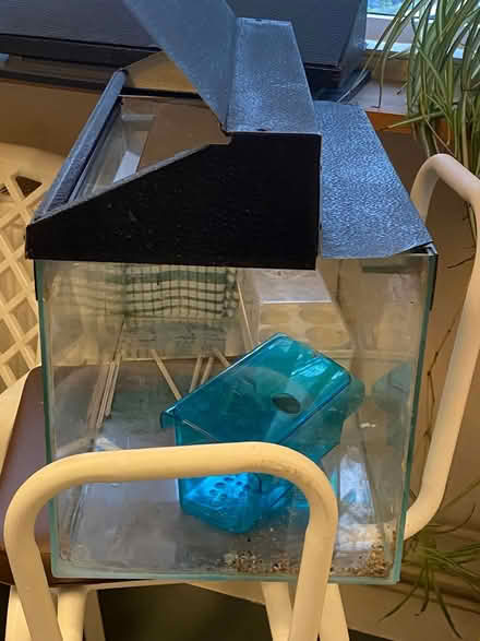 Photo of free Fish tank (St Cross SO23) #3