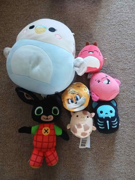Photo of free Soft toy bundle (West Hill TN34) #1