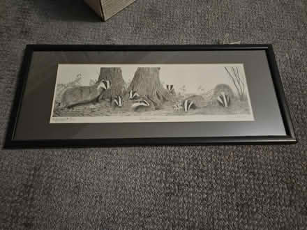 Photo of free Framed picture of badgers (Riddlesdown CR8) #1