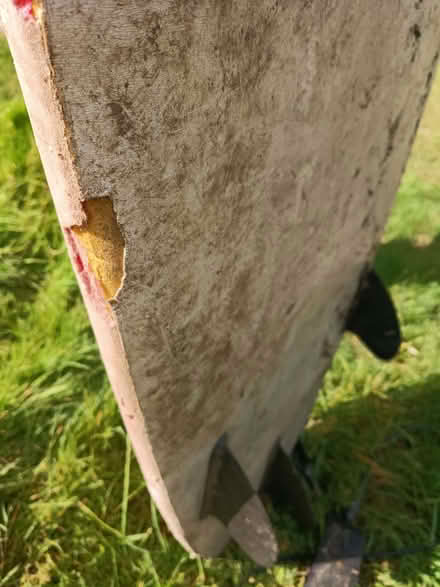 Photo of free Large Foam Surf Board (Govilon NP7) #2
