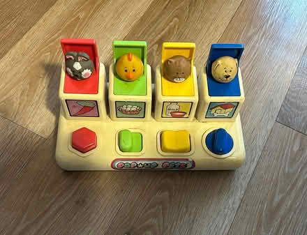Photo of free Pop Up Pets (Dorking RH4) #1