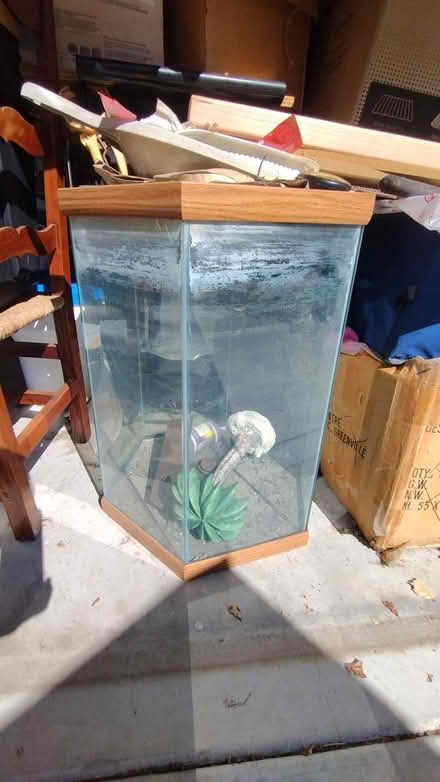 Photo of free Large fish tank (Cupertino near the post office) #1