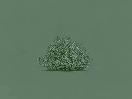Photo of Yew hedge cuttings (Freeland OX29) #1