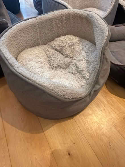 Photo of free Dog beds (Chelsea london) #2