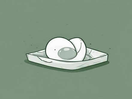 Photo of Used egg boxes (Hey Houses FY8) #1