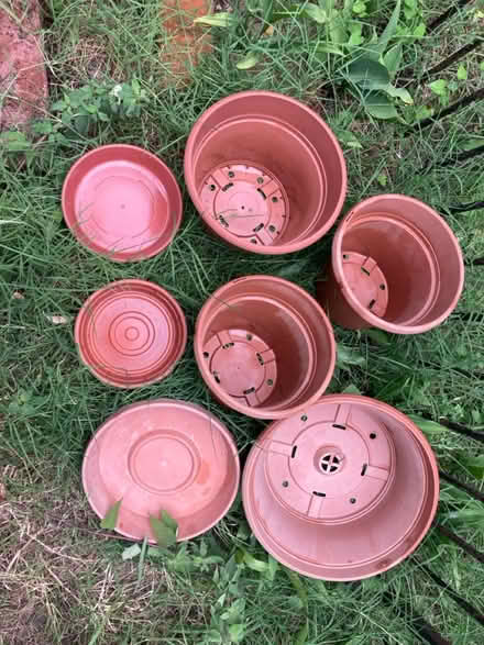 Photo of free 4 plastic plant pots w/3 saucers (Petworth/ Park View) #1
