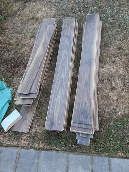 Photo of free Laminate Flooring (Hertford, SG14) #1