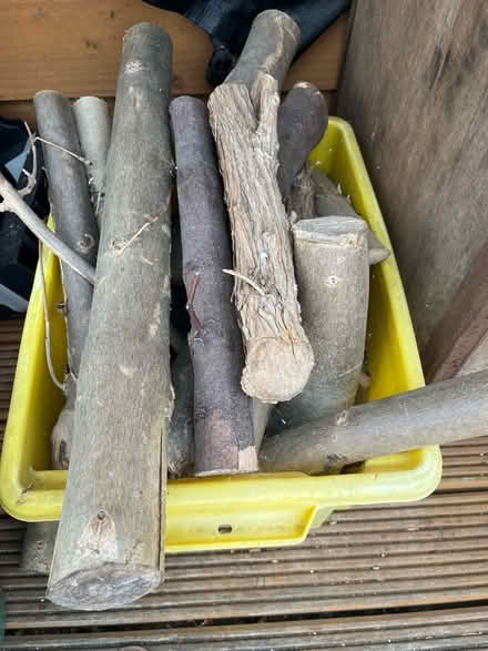 Photo of free Small logs (Ware SG12) #1