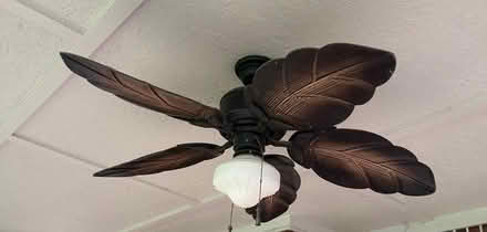 Photo of Ceiling Fan or Arms and Leaf Blades (Houston central) #1