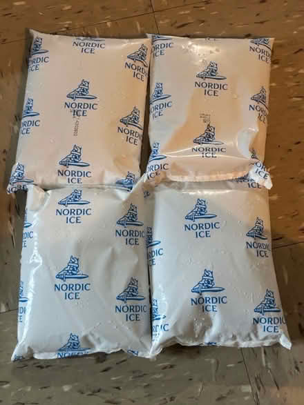 Photo of free Ice Packs (2831 Exterior Street, Bronx) #1