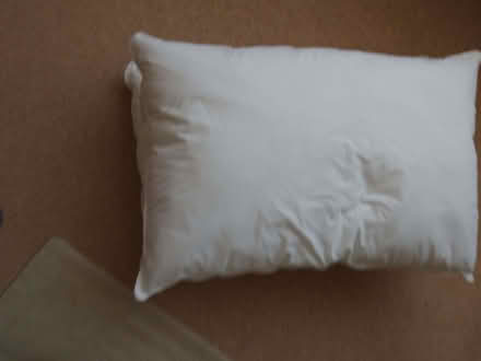 Photo of free Pillows (Southgate RH10) #1