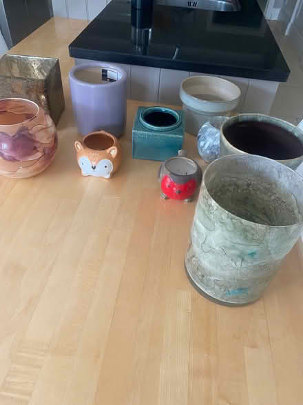 Photo of free Selection of indoors flower pots (Bugbrooke NN7) #1