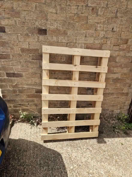 Photo of free Pallet (Harlow South CM18) #1