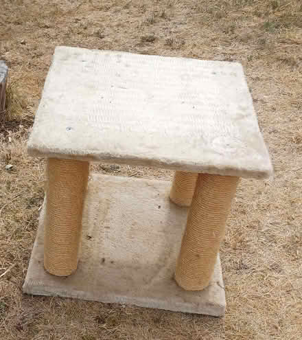 Photo of free Cat food bowls and scratching tree (West Hitchin SG5) #3