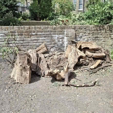 Photo of free 'Driftwood ' and logs (Kentish Town NW5) #1