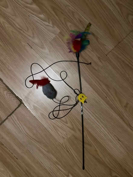 Photo of free Cat toys (Bowes Park N13) #1
