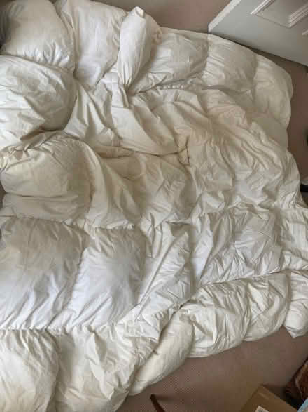 Photo of free Feather double duvet winter weight (Blackford EH9) #1