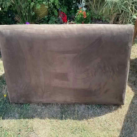 Photo of free Brown velour single headboard (Polegate BN26) #1