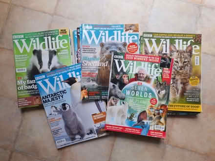 Photo of free BBC Wildlife magazines (Roseburn EH12) #1