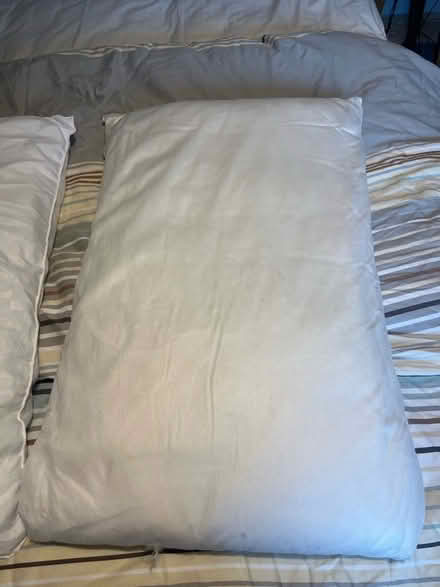 Photo of free 2 Pillows (Golden Triangle NR2) #2