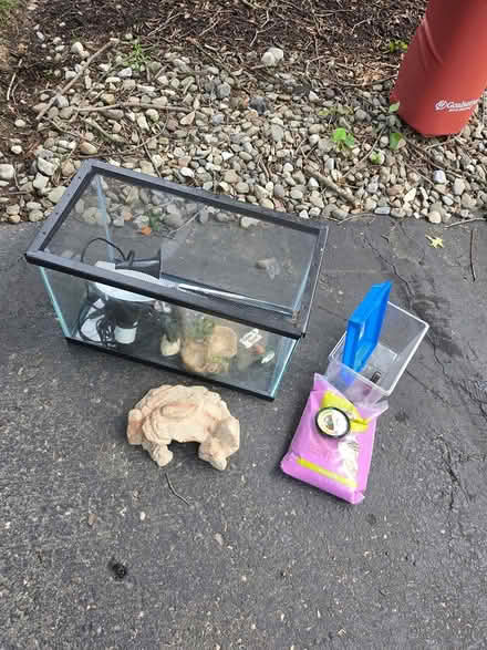 Photo of free Reptile starter set (Raritan Twsp) #1