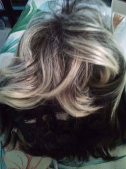 Photo of free Nice short wig. New (Blackford Bridge BL9) #1
