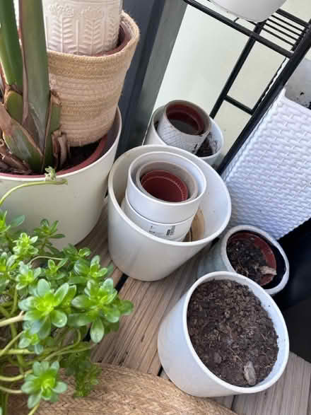 Photo of free Pots and 1/3 sack of compost soil (Camberwell SE5) #1